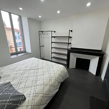 Xxl 120m2 - 10 Couchages - 3ch - Centre - 2 Sdb-2 Wc - Parking Gratuit A 1 Minute Lejlighed Foix