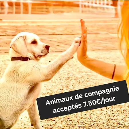 Lejlighed Xxl 120m2 - 10 Couchages - 3ch - Centre - 2 Sdb-2 Wc - Parking Gratuit A 1 Minute *