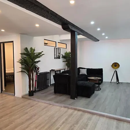 Xxl 120m2 - 10 Couchages - 3ch - Centre - 2 Sdb-2 Wc - Parking Gratuit A 1 Minute Lejlighed Foix